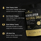 Kidney Support Shilajit Gummies