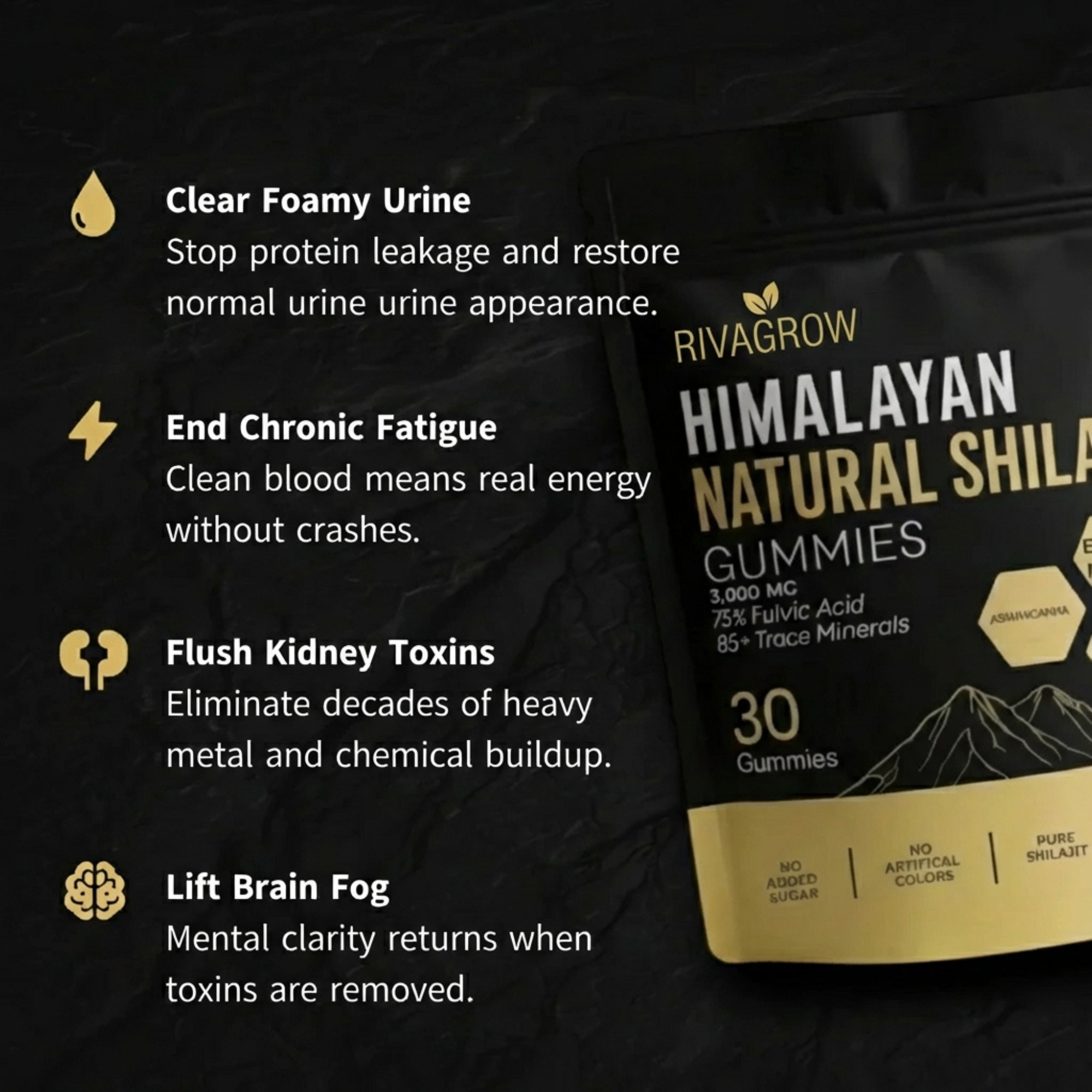 Kidney Support Shilajit Gummies